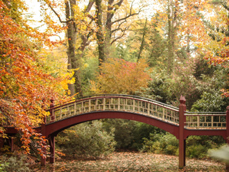 Side view of the Crim Dell bridge with fall foliage on surrounding trees