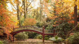 Side view of the Crim Dell bridge with fall foliage on surrounding trees