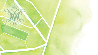 Watercolor illustration of merging roads that border campus on a green background with a cypher in the corner