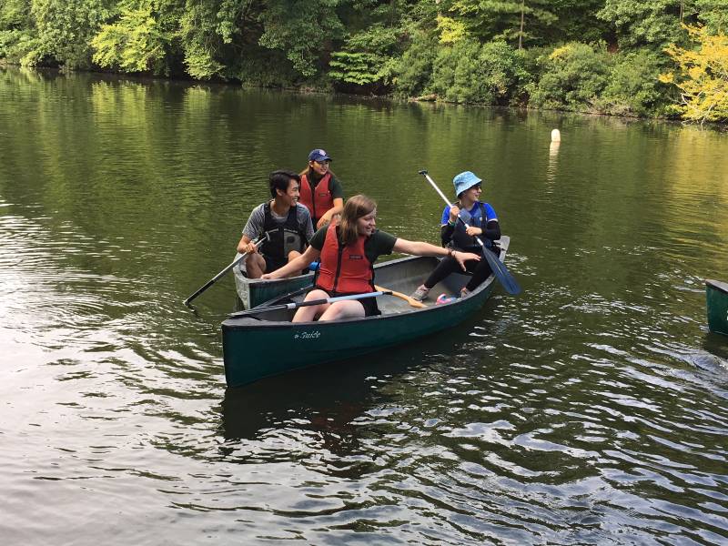 Let's see if they can get together for a group picture...