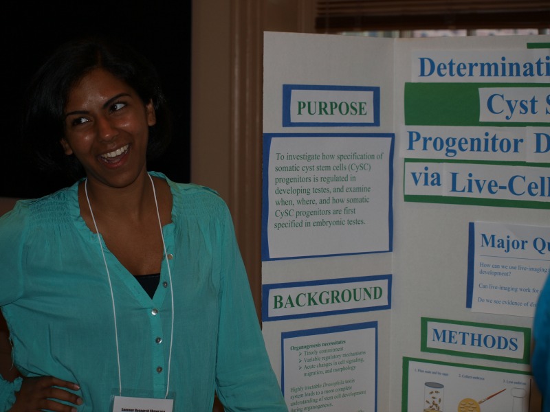 ...through Live Cell Imaging Studies in Drosophila melanogaster."