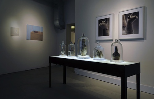 J.J. McCracken, works from the Mold series, 2008-2011 locally dug clay, mold, antique bell jars, custom-built light table, archival pigment prints