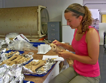 Jenna examining animal bones