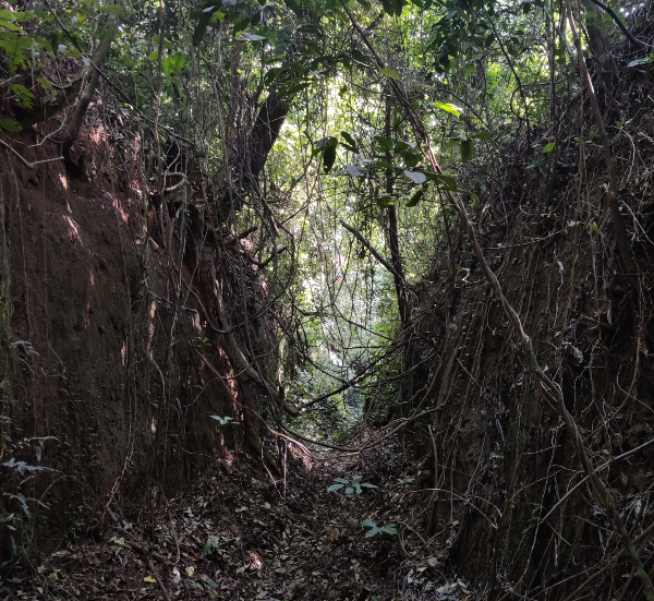 Image of Sungbo's Eredo Trench