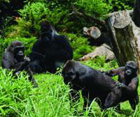 Picture by Cindy Baker.