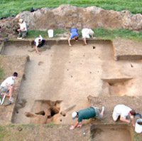 Image courtesy of Wero Research Group.