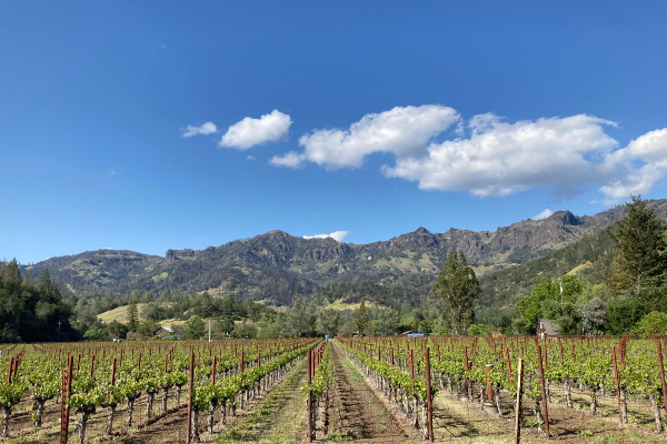 California Wineries