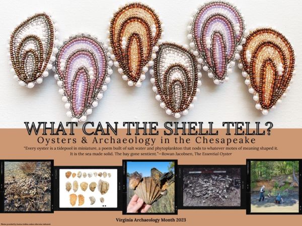What Can the Shell Tell?