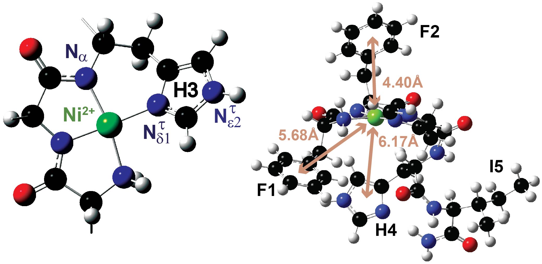 figure1_atcun-optimized_extended-atcun_c_for-wm-website.jpg