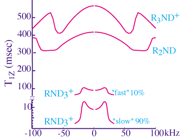 Figure 2 : Simulated T1Z anisotropy profiles for PAMAM dendrimer salt at 35 C.