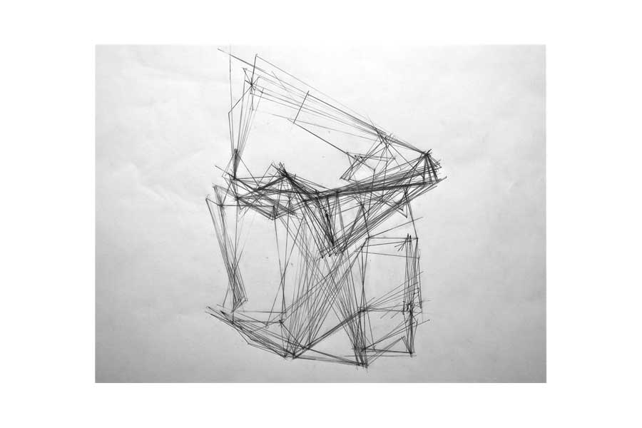 Overlay of Computational Iterations: The final design was arrived at through a series of rotations, warpings, and meshings. This image is a composite of all the possible combinations of these maneuvers. 