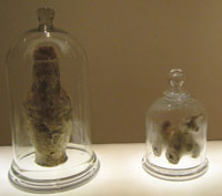 Bell Jars, J.J. McCracken 