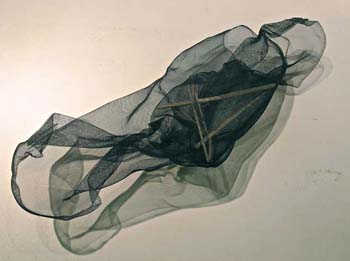 Jarrett explored ideas of fluid space by twisting shapes and varying their aperture sizes.