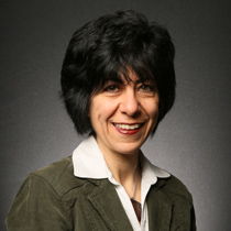 Department Chair, Sibel Zandi-Sayek