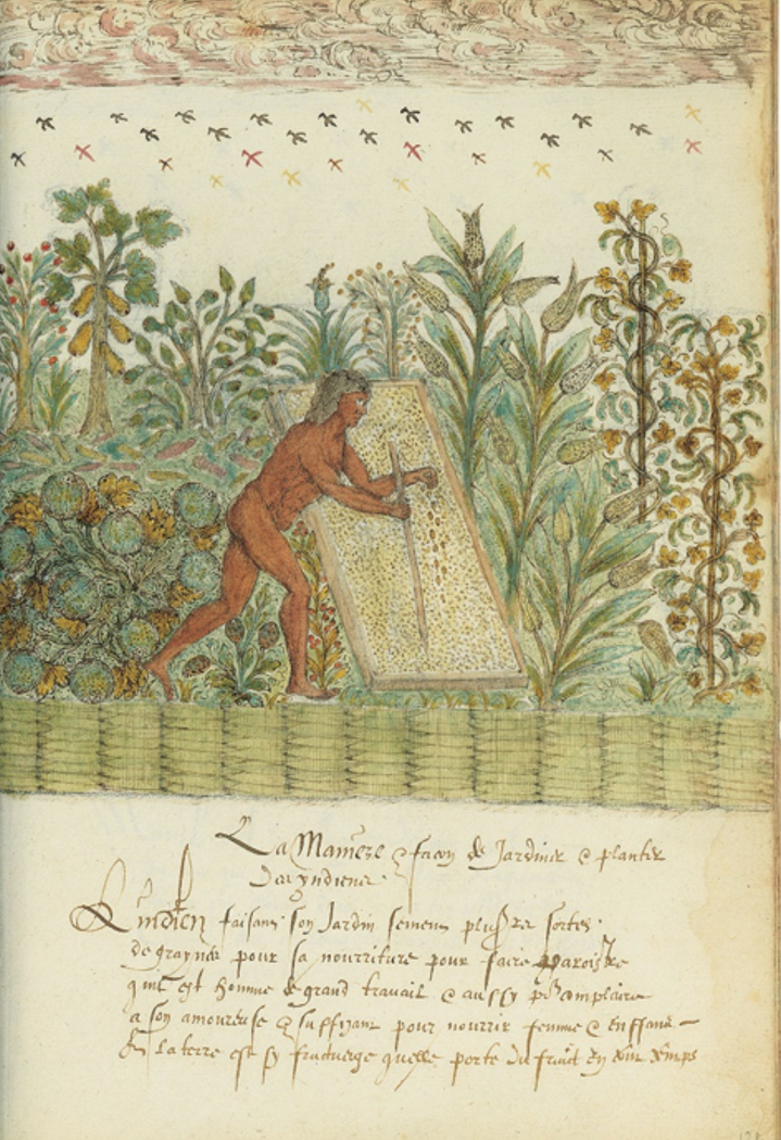 from root to ritual