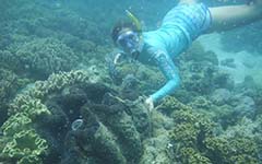 Australia scuba diving
