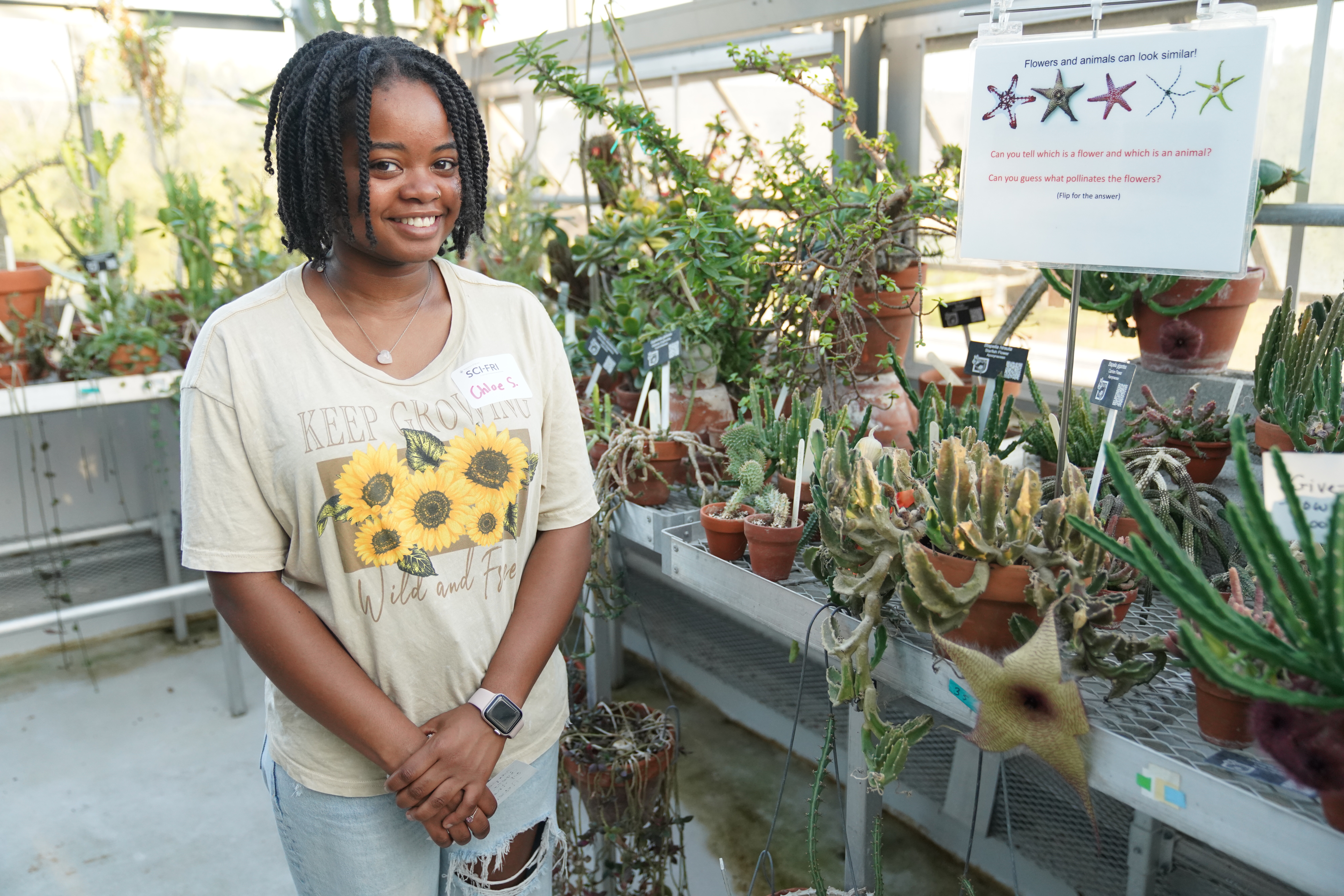 person standing in greenhouse