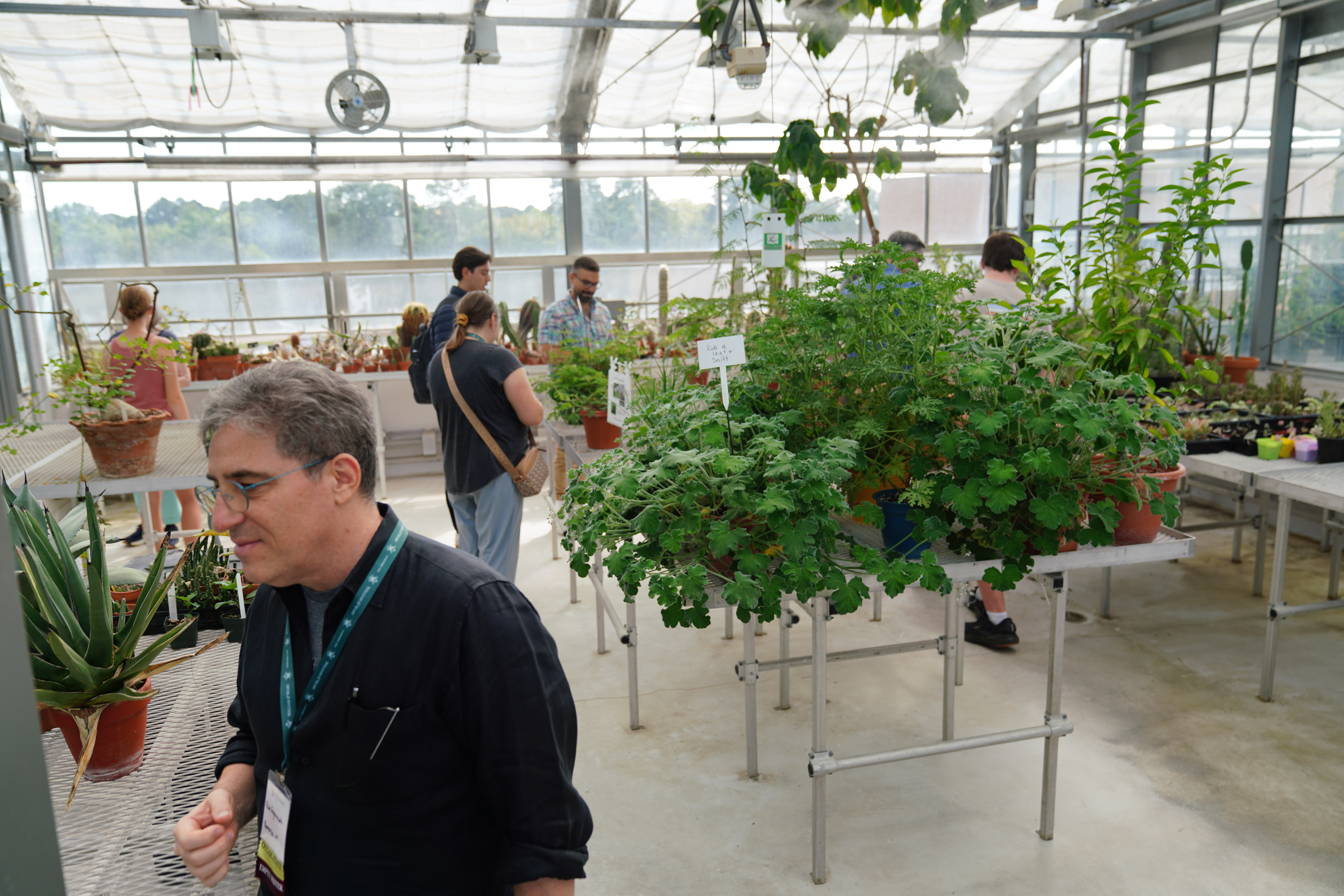people walking around greenhouse
