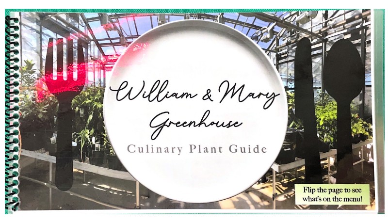 $_EscapeTool.xml($img_display)