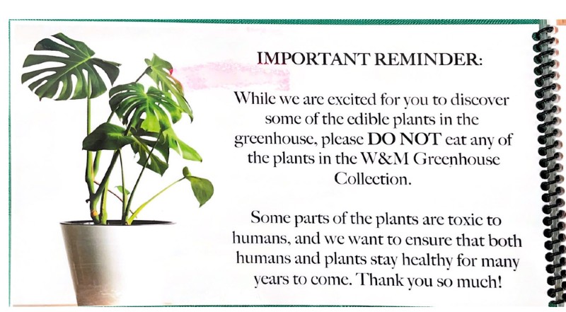 $_EscapeTool.xml($img_display)