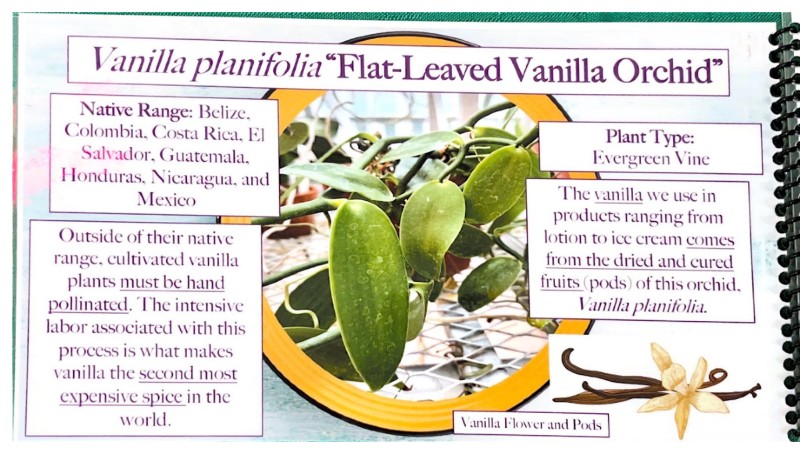 $_EscapeTool.xml($img_display)