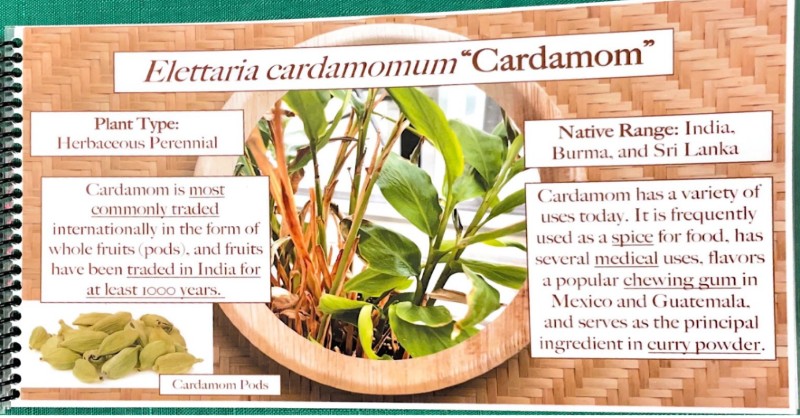 $_EscapeTool.xml($img_display)