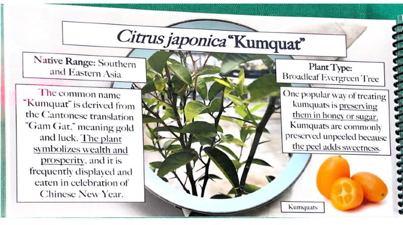 $_EscapeTool.xml($img_display)