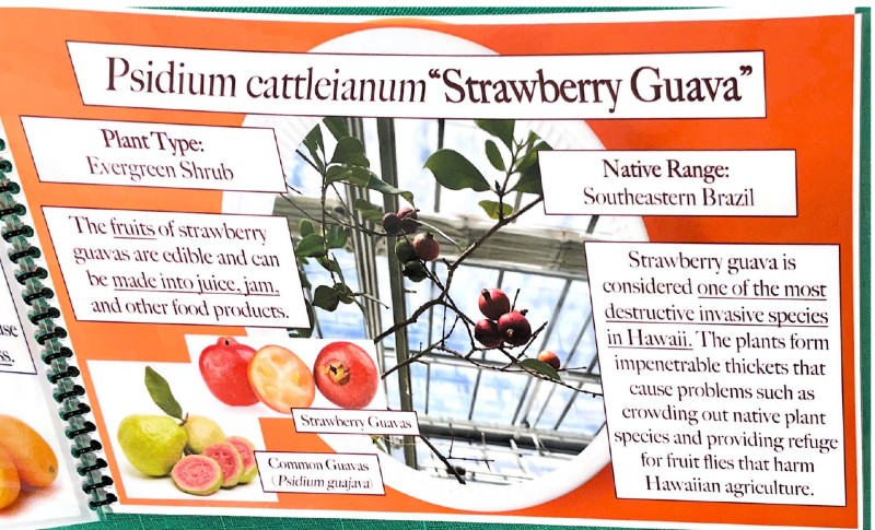 $_EscapeTool.xml($img_display)