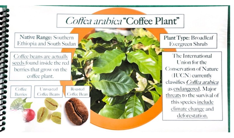 $_EscapeTool.xml($img_display)