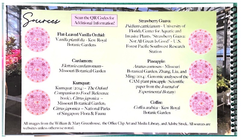 $_EscapeTool.xml($img_display)