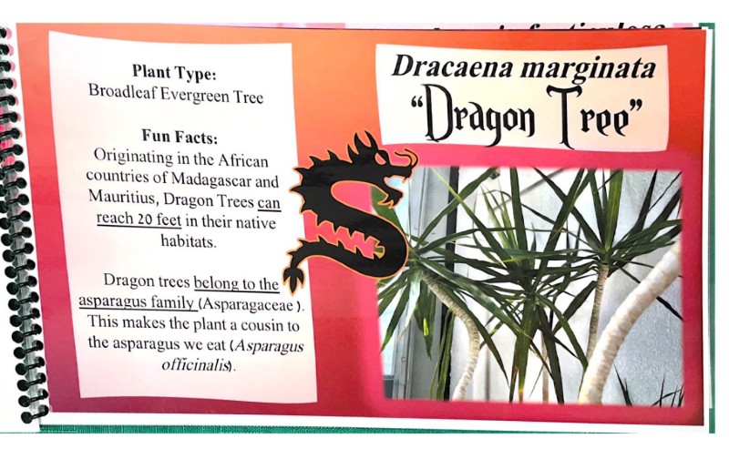 $_EscapeTool.xml($img_display)