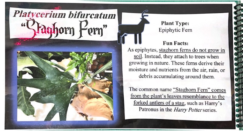 $_EscapeTool.xml($img_display)