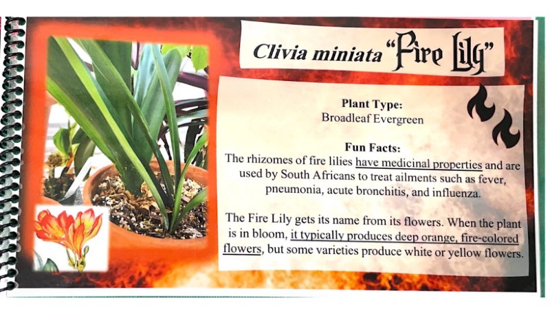 $_EscapeTool.xml($img_display)