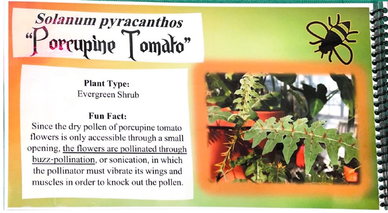 $_EscapeTool.xml($img_display)