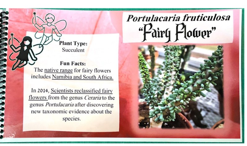 $_EscapeTool.xml($img_display)