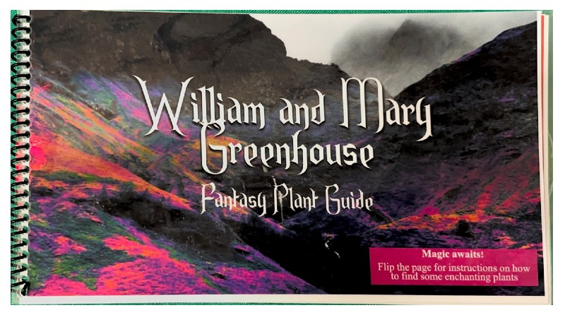 $_EscapeTool.xml($img_display)