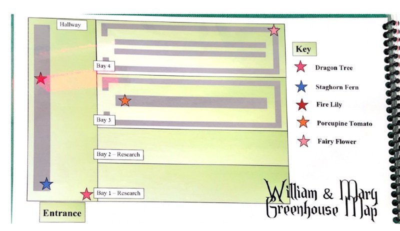 $_EscapeTool.xml($img_display)