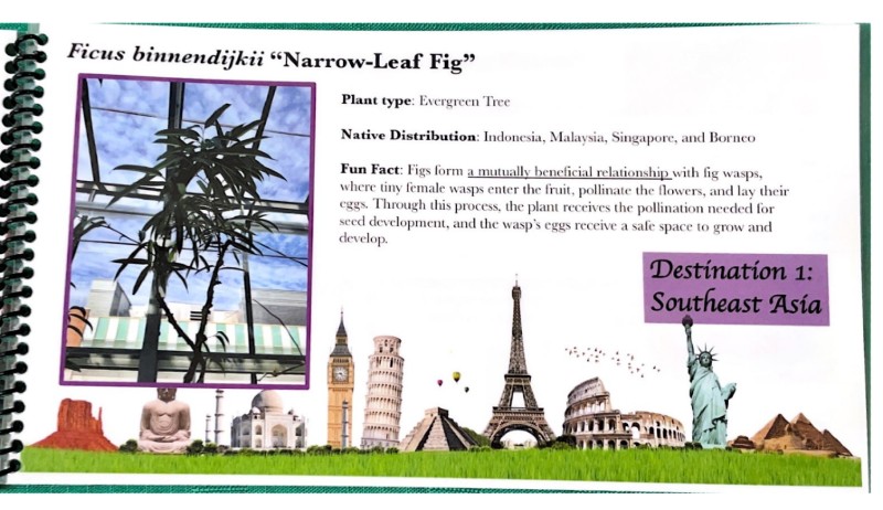 $_EscapeTool.xml($image_display_name)