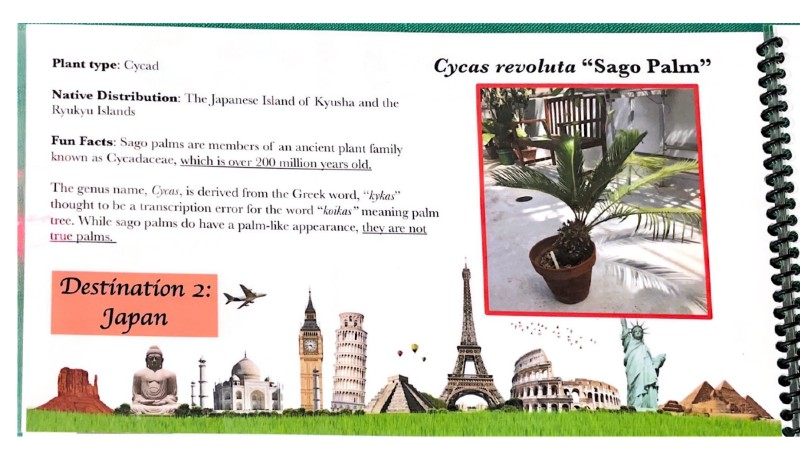 $_EscapeTool.xml($image_display_name)