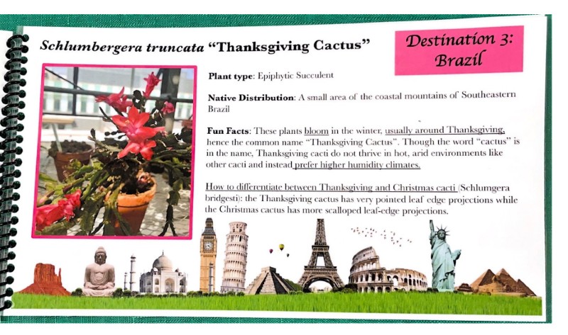 $_EscapeTool.xml($image_display_name)