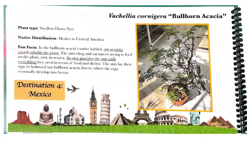 $_EscapeTool.xml($image_display_name)