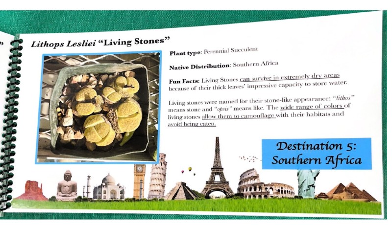 $_EscapeTool.xml($image_display_name)