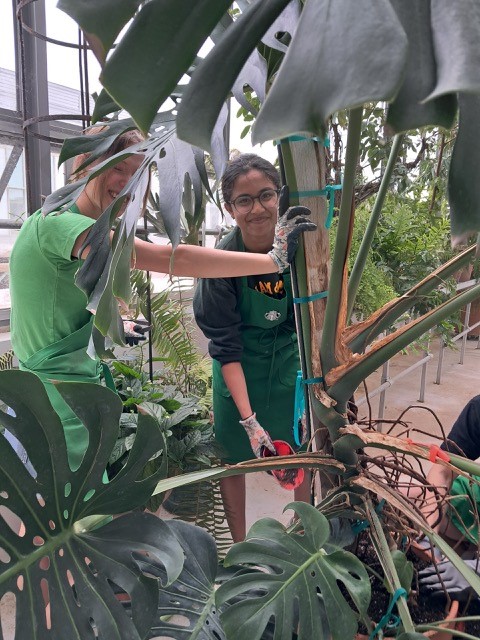 student workers in greenhouse
