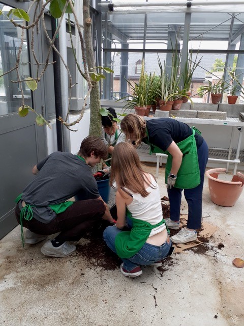 student workers in greenhouse