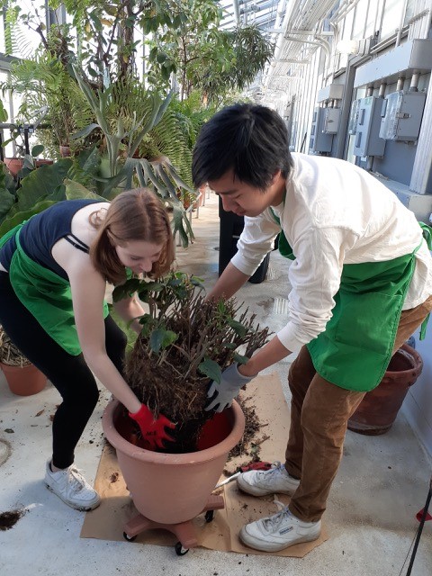 student workers in the greenhouse