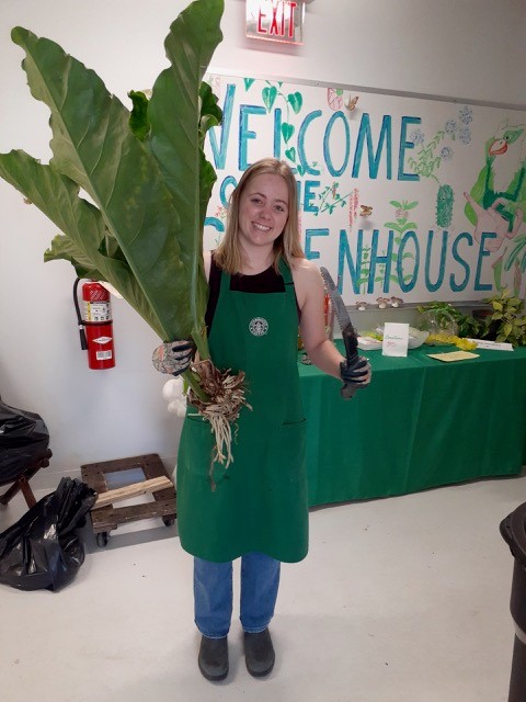 student workers in greenhouse