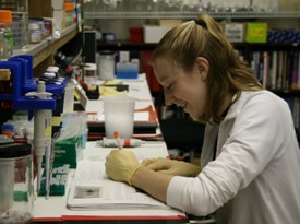 Student working on DNA