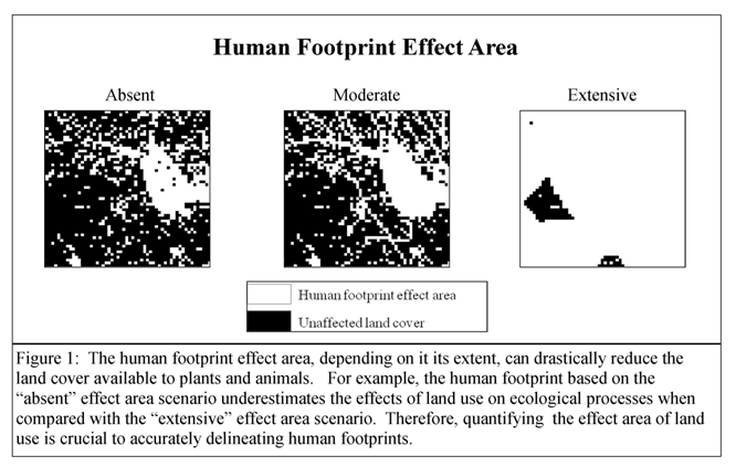 Human Footprint Effect Area