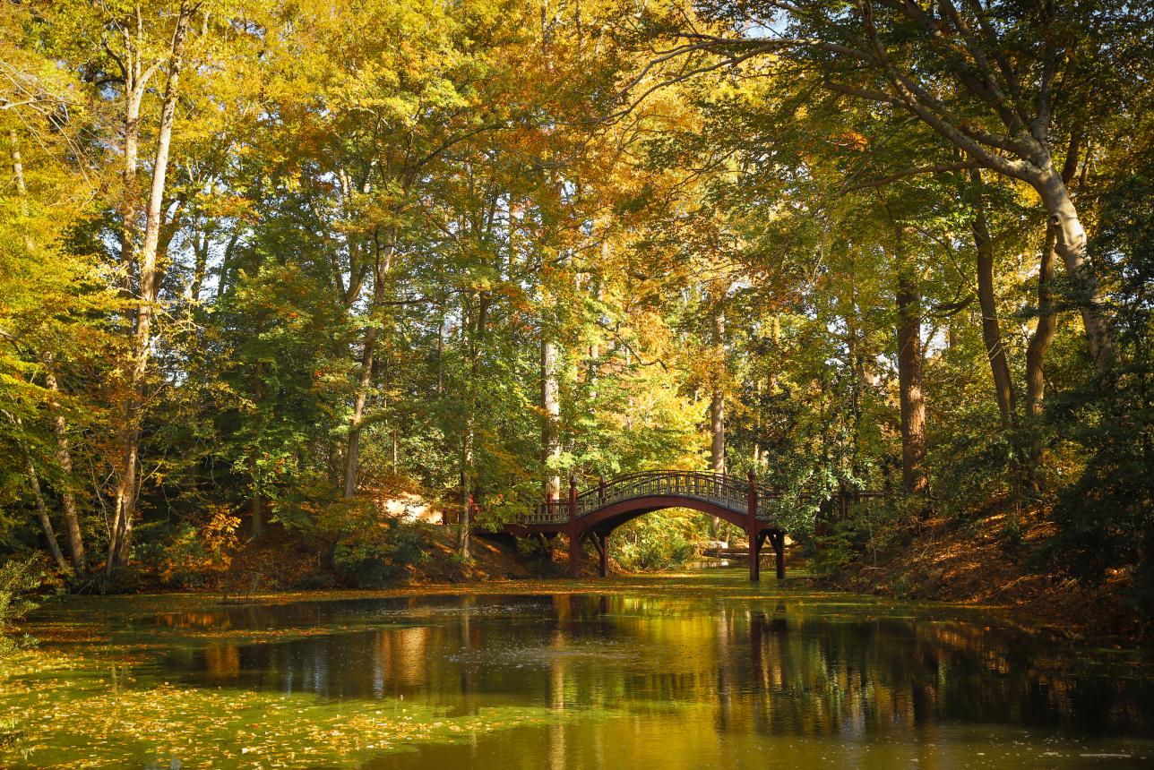 Crim Dell at William & Mary in the Fall