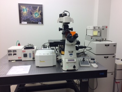 Confocal microscope